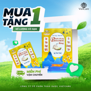 Nước Yến Sào Pomnest King Mật Ong