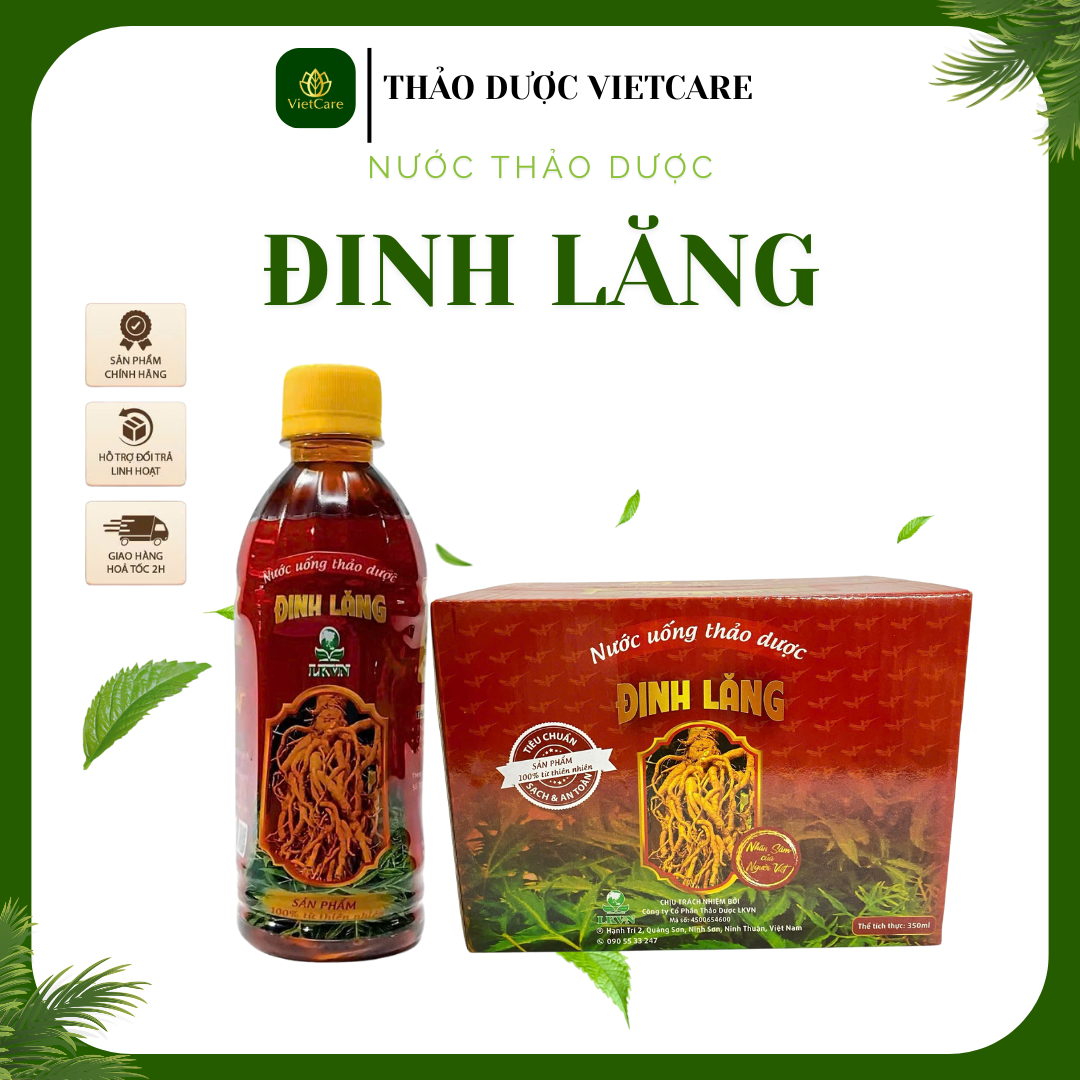 Nước Thảo Dược Đinh Lăng - VietCare (2)