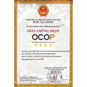 Giấy chứng nhận xáo tam phân