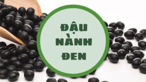 Đậu nành đen