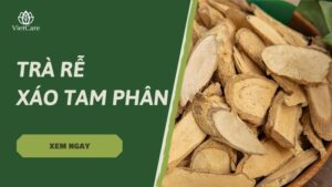 Trà rễ xáo tam phân