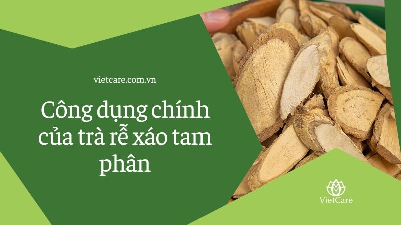 Công dụng chính của trà rễ xáo tam phân