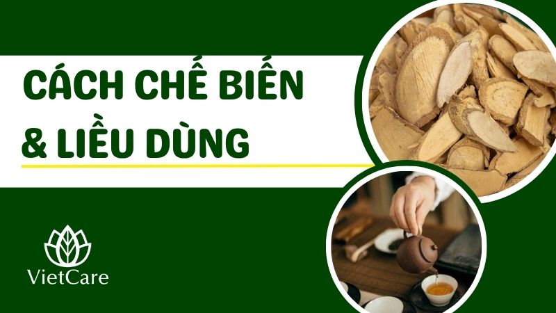 Cách chế biến & liều dùng trà rễ xáo tam phân