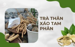 Trà thân xáo tam phân