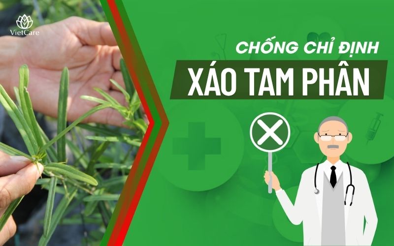 Chống chỉ định trà xáo tam phân