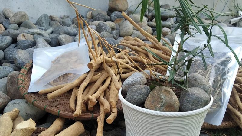 Lịch sử sử dụng trong Y học Cổ truyền xáo tam phân