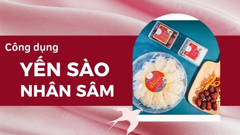 Công dụng của yến sào nhân sâm