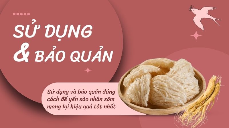 Hướng dẫn cách sử dụng yến sào nhân sâm