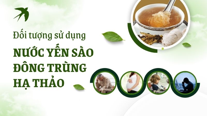 Đối tượng sử dụng nước yến sào đông trùng hạ thảo