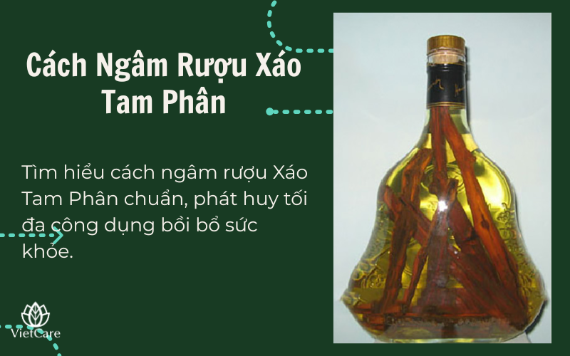 Tìm hiểu cách ngâm rượu Xáo Tam Phân chuẩn, phát huy tối đa công dụng bồi bổ sức khỏe. Hướng dẫn chi tiết từ chọn nguyên liệu đến liều lượng an toàn. Đọc ngay!