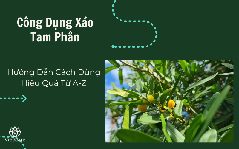 Công dụng và cách dùng Xáo Tam Phân