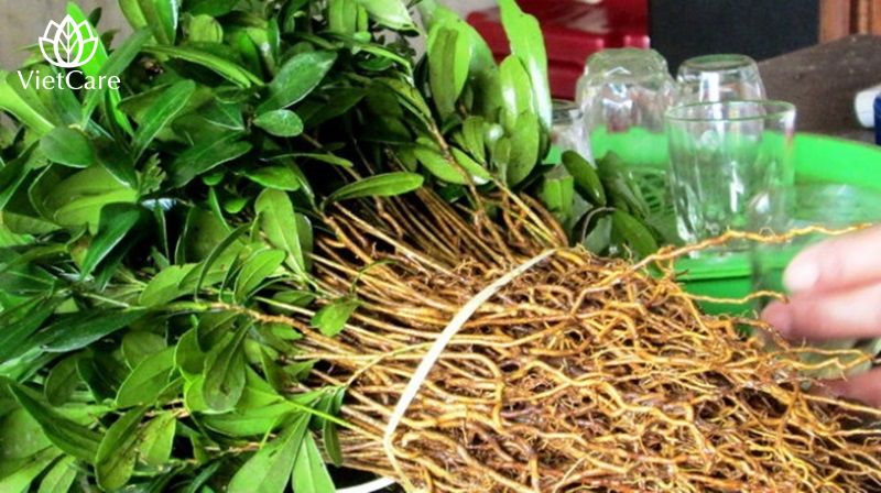 Xáo tam phân có mùi thơm nhẹ nhàng và sắc vàng nâu óng mịn