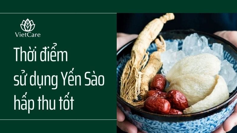 Thời điểm ăn yến sào hấp thu tốt nhất