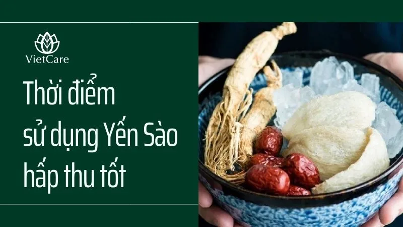 Thời điểm ăn yến sào hấp thu tốt nhất