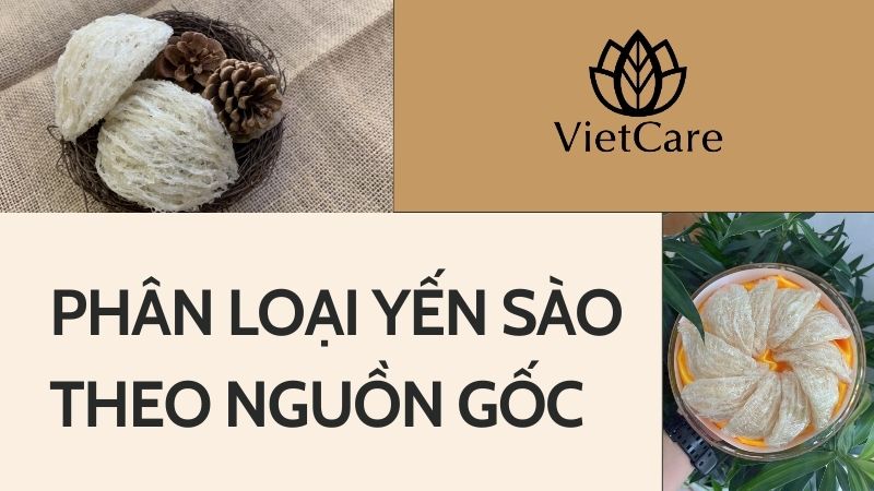 Các loại yến sào theo nguồn gốc