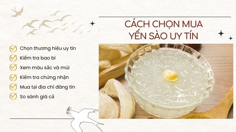 Cập nhật giá yến sào và kinh nghiệm cho mua