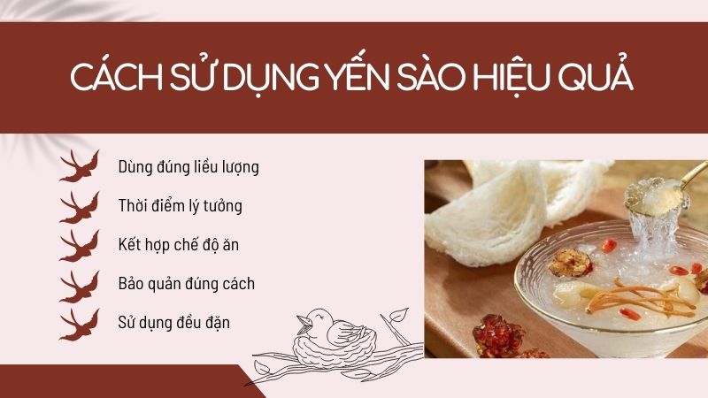 Cách sử dụng yến sào hiệu quả