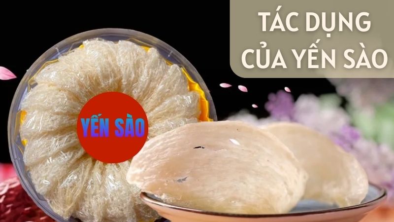 Tác dụng tuyệt vời của yến sào
