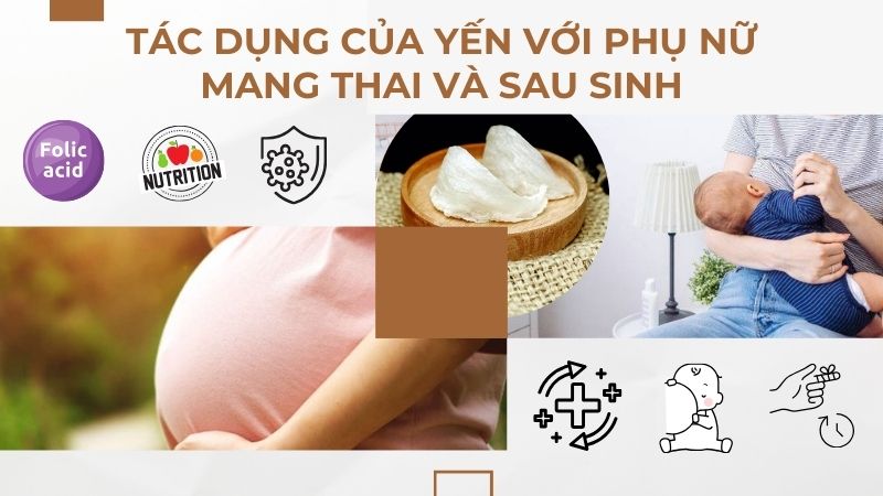 Công dụng của yến sào với phụ nữ mang thai