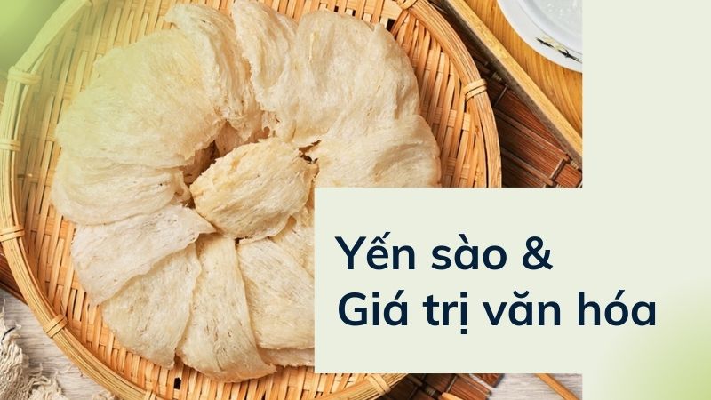 Tìm hiểu giá trị văn hóa của yến sào