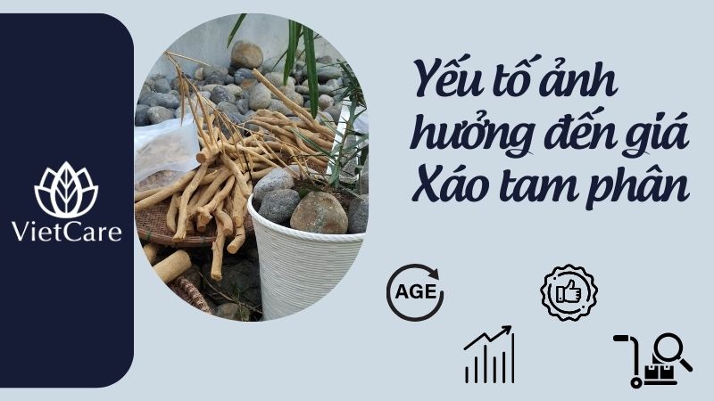 yếu tố ảnh hưởng giá xáo tam phân bao nhiêu 1kg