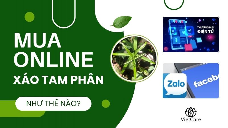 Đặt mua online xáo tam phân tiện lợi