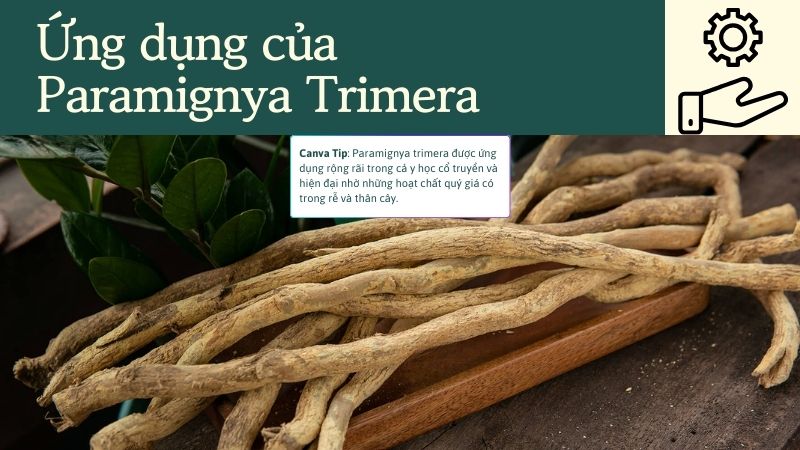 Ứng dụng của xáo tam phân tên khoa học