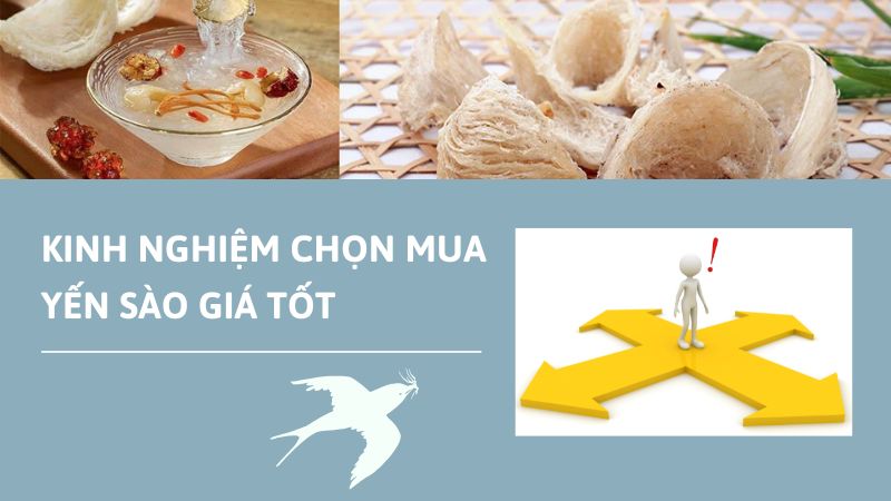 Cách chọn mua yến sào chất lượng giá tốt
