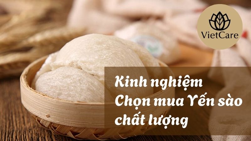 Yến sào có tốt không? Kinh nghiệm chọn mua yến sào