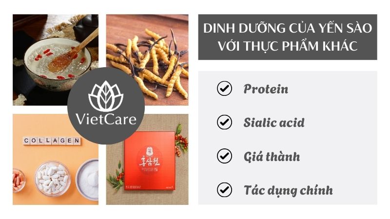 Yến sào có tốt không? Có dinh dưỡng so với thực phẩm khác không