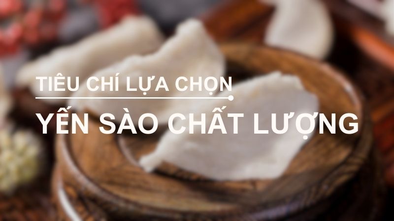yến sào loại nào tốt? Tiêu chí gì để chọn yến sào chất lượng