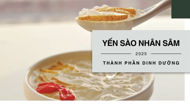 Yến sào nhân sâm có tác dụng gì? Thành phần dinh dưỡng có gì?