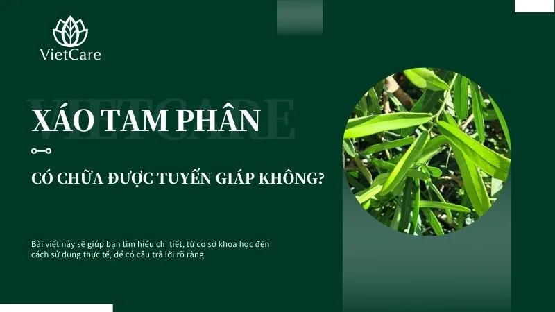 xáo tam phân chữa tuyến giáp được hay không?