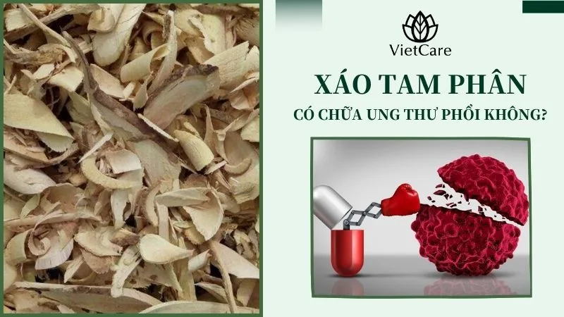 xáo tam phân chữa ung thư phổi, đúng hay sai?