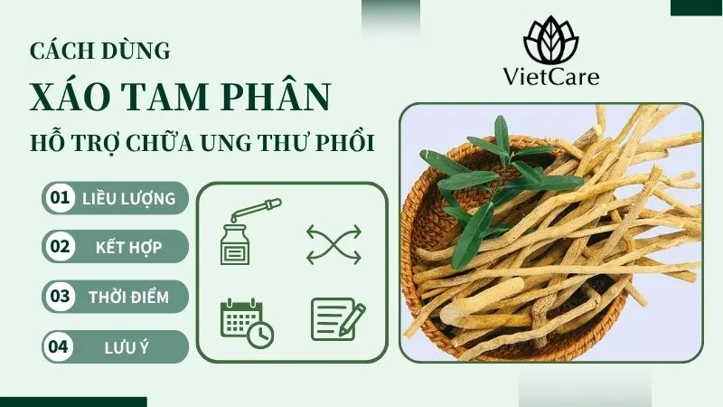 Cách sử dụng xáo tam phân chữa ung thư phổi