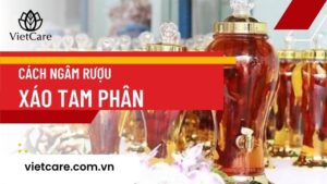 Cách ngâm rượu Xáo tam phân