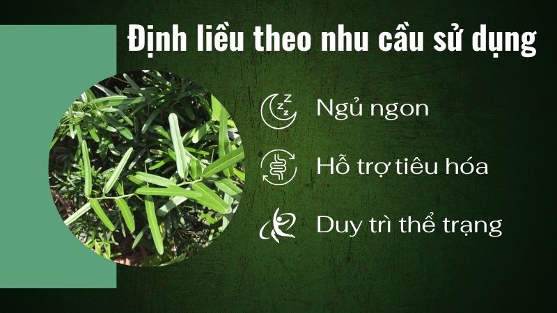 Liều dùng xáo tam phân