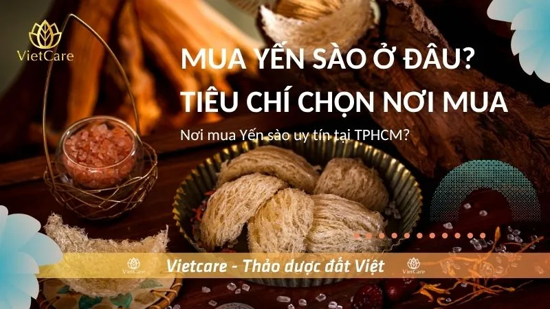 Mua yến sào ở đâu