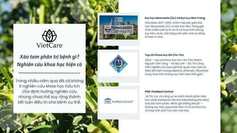 Xáo tam phân trị bệnh gì? Các nghiên cứu và bằng chứng khoa học hiện có