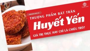 Huyết yến là gì? Giá trị thực hay chỉ là chiêu trò thổi giá?