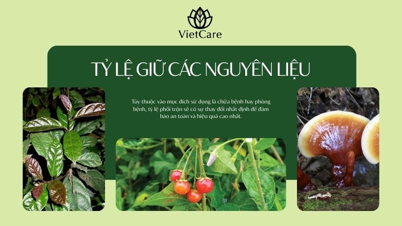 Kết hợp xáo tam phân và các nguyên liệu khác theo tỉ lệ như thế nào?