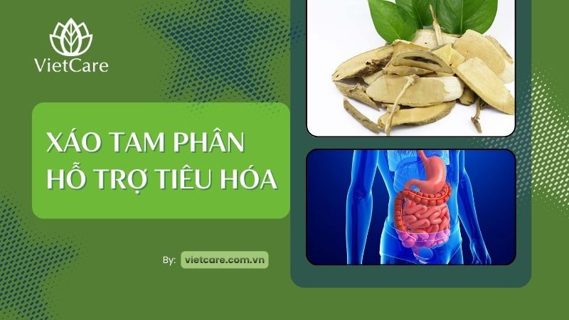 Xáo tam phân hỗ trợ tiêu hóa như thế nào? Cách dùng hiệu quả