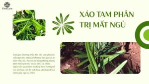 Xáo tam phân trị mất ngủ hay không? Dùng bao nhiêu là đủ?
