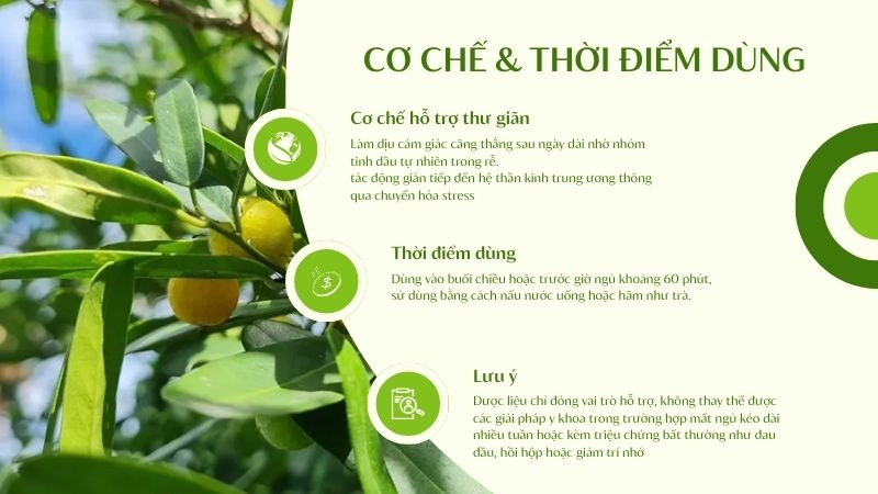 Xáo tam phân trị mất ngủ theo cơ chế nào, thời điểm dùng hiệu quả
