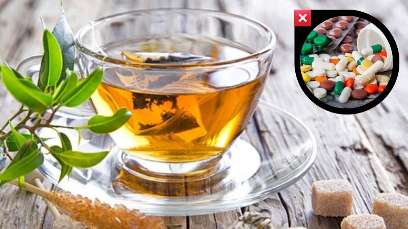 6 lý do chọn Trà Đinh Lăng thay vì thuốc tây