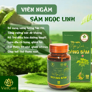 Viên Ngậm Sâm Ngọc Linh (Chai/50 viên)