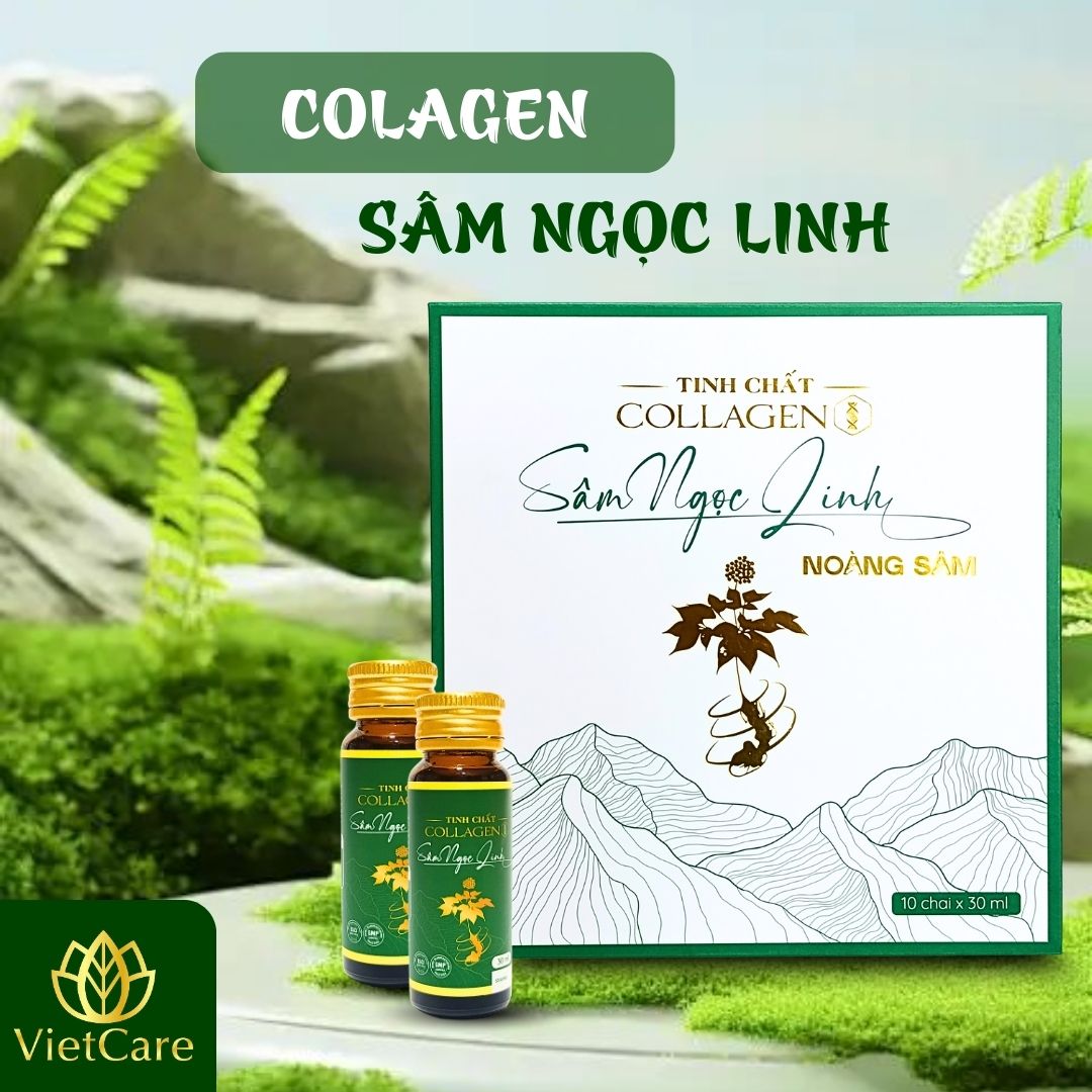 colagen sâm ngọc linh