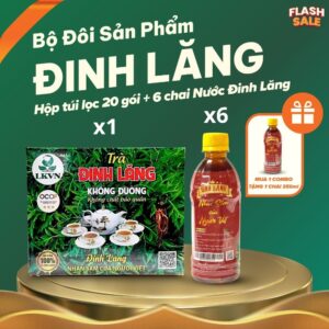 [Mua 1 Combo Tặng 1 Chai] Combo Bộ Đôi Trà Túi Lọc Và Nước Sâm Thảo Dược Đinh Lăng